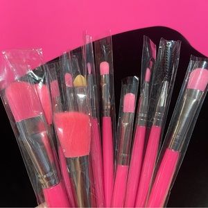 Professional 12 Makeup Brush Set